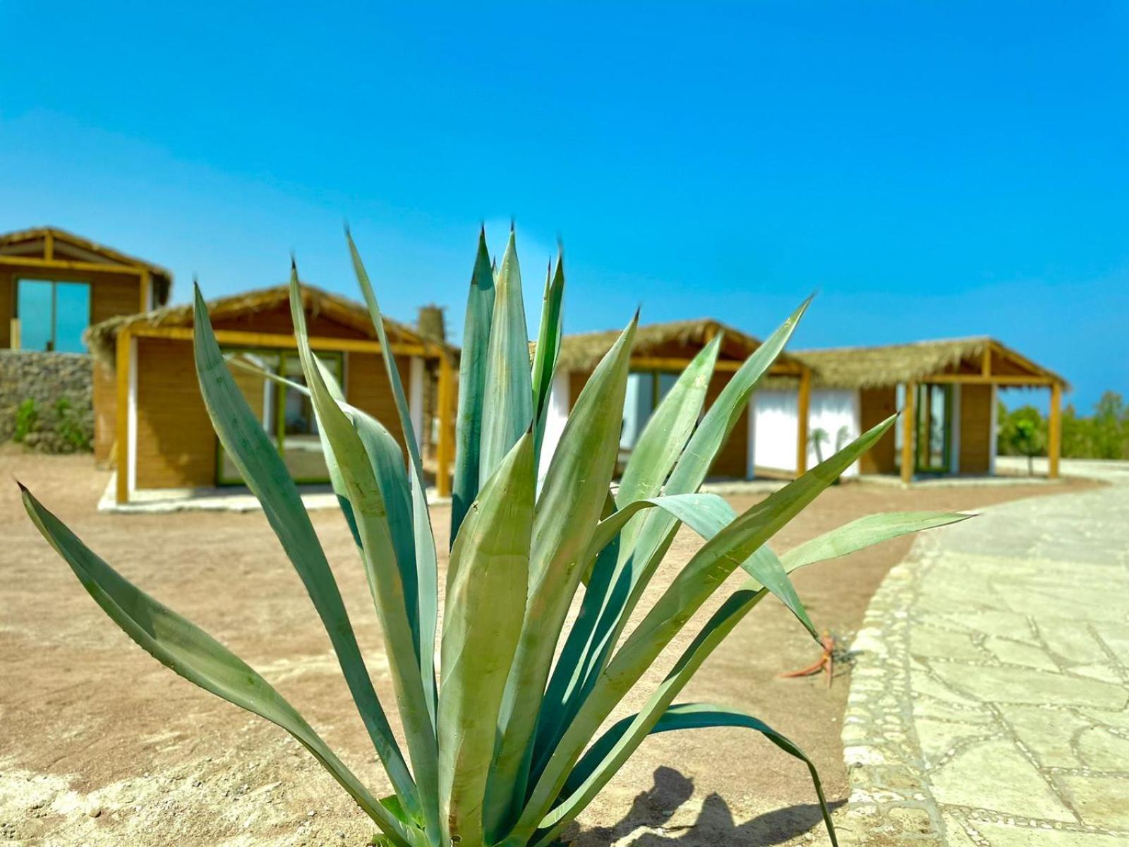 Ananda Beach Camp Nuweiba` エクステリア 写真